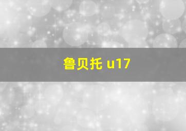 鲁贝托 u17